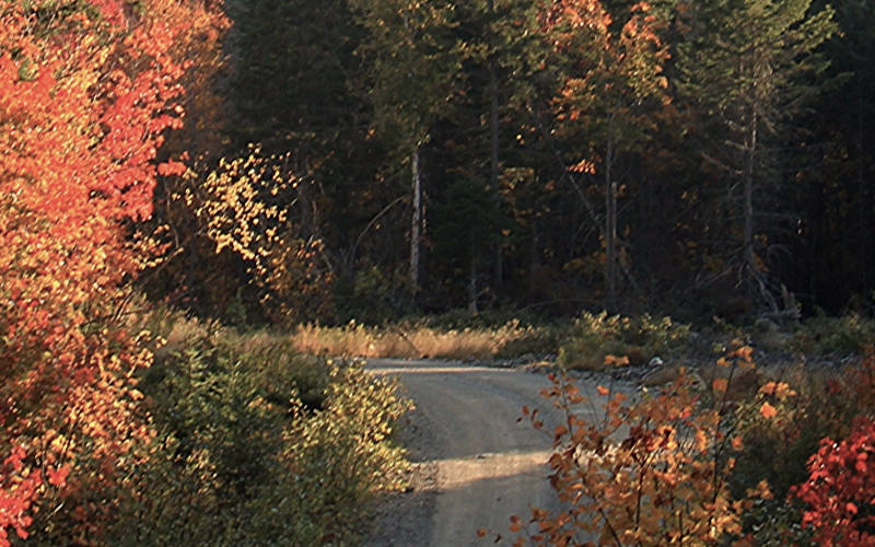 Maine, where you can get outpatient treatment at Pillars Health Group in South Portland, ME.