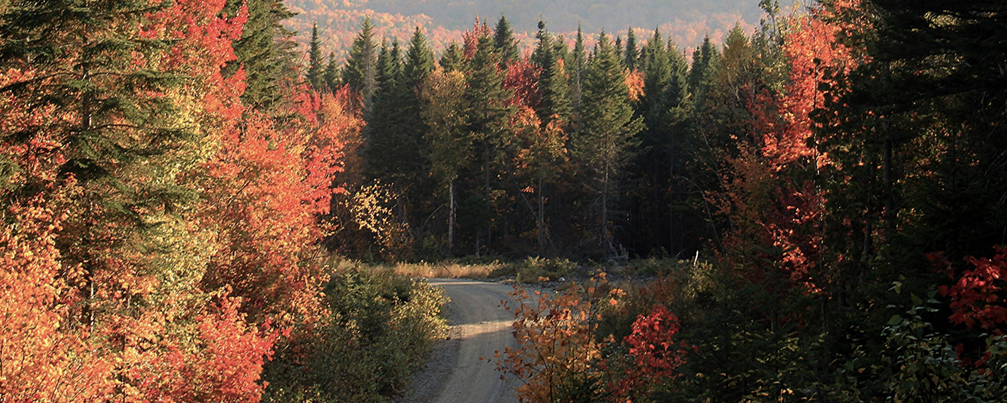 Maine, where you can get outpatient mental health treatment at Pillars Health Group in South Portland, ME.